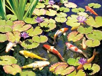 Koi Pond IV Fine Art Print