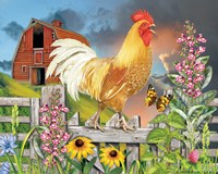 Yellow Rooster Greeting The Day Fine Art Print