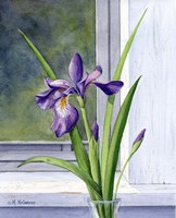 Blue Flag-Wild Iris Fine Art Print
