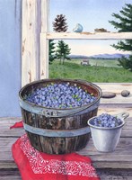 Blueberries And Red Bandana Fine Art Print