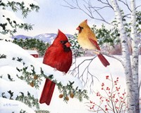 Cardinals And Hemlock Tree by Maureen Mccarthy - various sizes