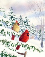Cedar Farms Cardinals I Framed Print