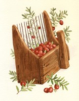 Cranberry Scoop Fine Art Print
