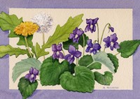 Dandelion And Violets by Maureen Mccarthy - various sizes
