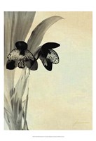 Orchid Blush Panels I Fine Art Print