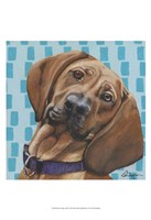 Dlynn's Dogs - Dali Fine Art Print