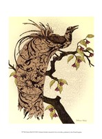 Greater Bird II Fine Art Print