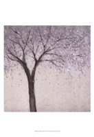 Spring Blossom II Framed Print