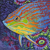 Brilliant Tropical Fish I Fine Art Print