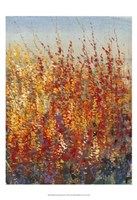 High Desert Blossoms II Fine Art Print