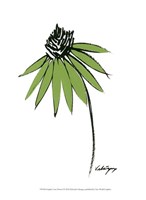 Graphic Cone Flower I by Deborah Velasquez - 10" x 13"