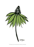 Graphic Cone Flower II Fine Art Print