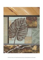 Exotic by Nature I Fine Art Print