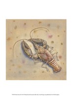 Pond Critters III Framed Print