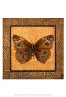 Crackled Butterfly - Buckeye Fine Art Print