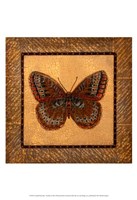 Crackled Butterfly - Fritillary Fine Art Print