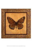 Crackled Butterfly - Monarch Fine Art Print