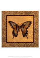 Crackled Butterfly - Swallowtail Fine Art Print