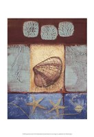 Aquamarine Clam Fine Art Print