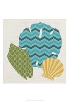 Shell Patterns I Fine Art Print