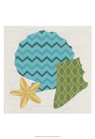 Shell Patterns II Framed Print