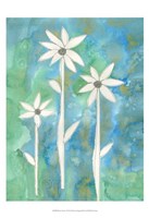 Dainty Daisies I Fine Art Print