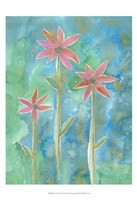 Dainty Daisies III Fine Art Print