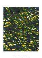 Green Thicket I Framed Print