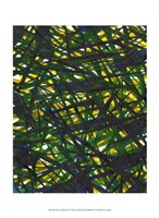 Green Thicket II Framed Print