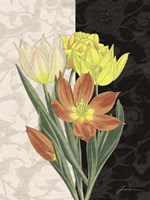 Centerpiece II Fine Art Print