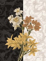 Centerpiece III Fine Art Print