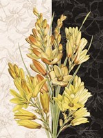 Centerpiece IV Fine Art Print