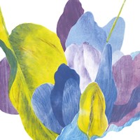 False Indigo III Fine Art Print