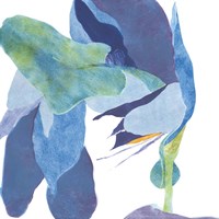 Surprise Indigo I Fine Art Print