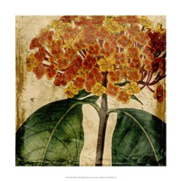 Vibrant Floral I Fine Art Print