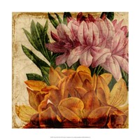 Vibrant Floral II Fine Art Print