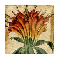 Vibrant Floral IV Fine Art Print