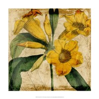 Vibrant Floral V Fine Art Print