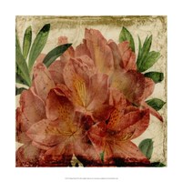 Vibrant Floral VII Fine Art Print