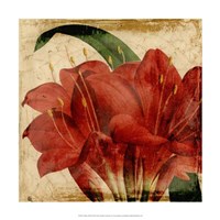 Vibrant Floral VIII Fine Art Print