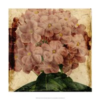 Vibrant Floral IX Fine Art Print