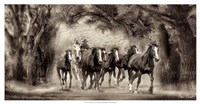 The Chase II by David Drost - 25" x 13" - $24.99