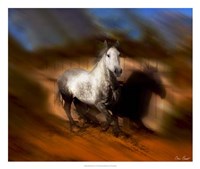 Blazing Horse III by David Drost - 26" x 22"