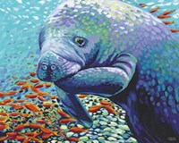 Sea Sweetheart II Fine Art Print