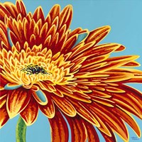 Color Bursts I Fine Art Print