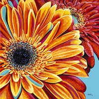 Color Bursts II Fine Art Print