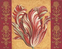Tulip Power III Fine Art Print