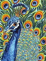 Plumed Peacock I Fine Art Print