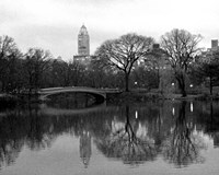 10" x 8" Central Park Pictures