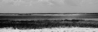 Shore Panorama IV Fine Art Print